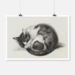 Curled Up Sleeping Cat Poster