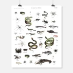 Different Animals Poster