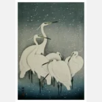 Egrets Poster