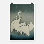 Egrets Poster