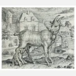 Fable of the Goat and the Young Wolf Poster
