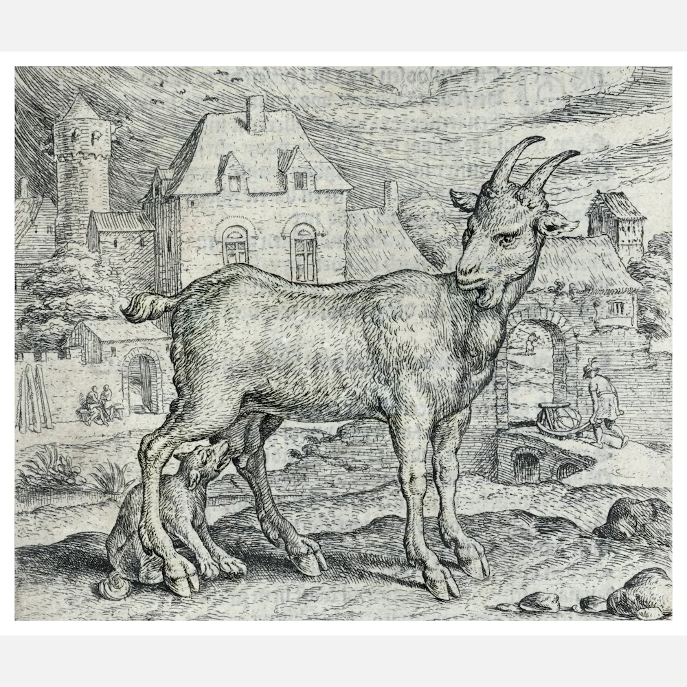 Fable of the Goat and the Young Wolf Poster