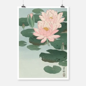 Flowering Water Lily Poster