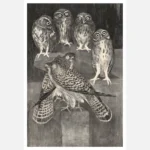 Four Little Owls and Two Kestrels Poster