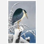 Heron on a Snowy Branch Poster