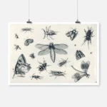 Insects Poster