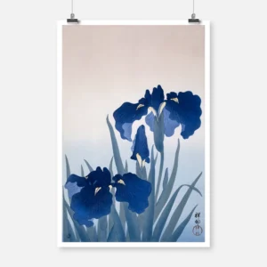 Irises Poster