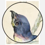 Lazuli Bunting Bird Poster