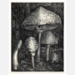 Mushrooms Poster