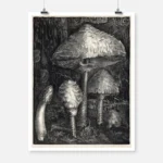 Mushrooms Poster