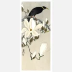 Myna Bird on Magnolia Branch Poster