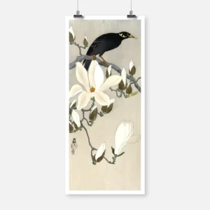 Myna Bird on Magnolia Branch Poster