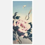 Peony with Butterfly Poster