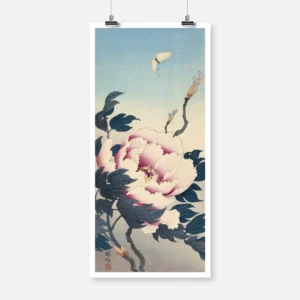 Peony with Butterfly Poster