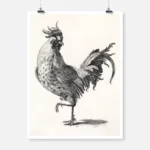 Rooster Poster