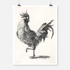 Rooster Poster