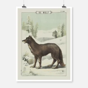 The Wolf Poster