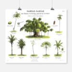 Vegetation Poster