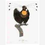 Western Parotia Bird of Paradise Poster