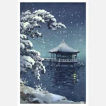 Winter Landscape At Night Poster