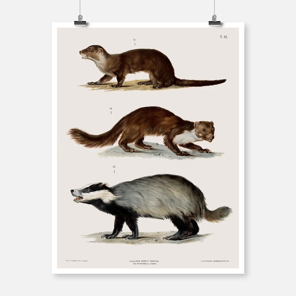 An Otter a Weasel and a Badger Poster