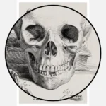 Anatomical Study of a Skull and Jaw Poster