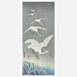 Descending Egrets in Snow Poster