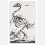 Eagle Skeleton Poster