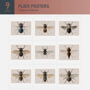 Flies Posters Collection