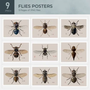 Flies Posters Collection