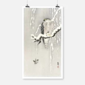 Hawk with Captured Tree Sparrow Poster