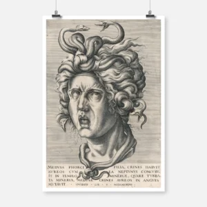 Head of Medusa Poster