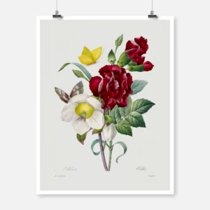 Hellebore and Carnation Flowers Poster