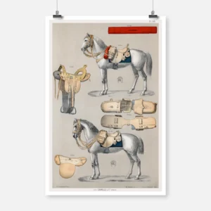 Horses with Antique Riding Equipment Poster