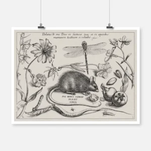 Insects Plants and Fruits Around a Rat Poster