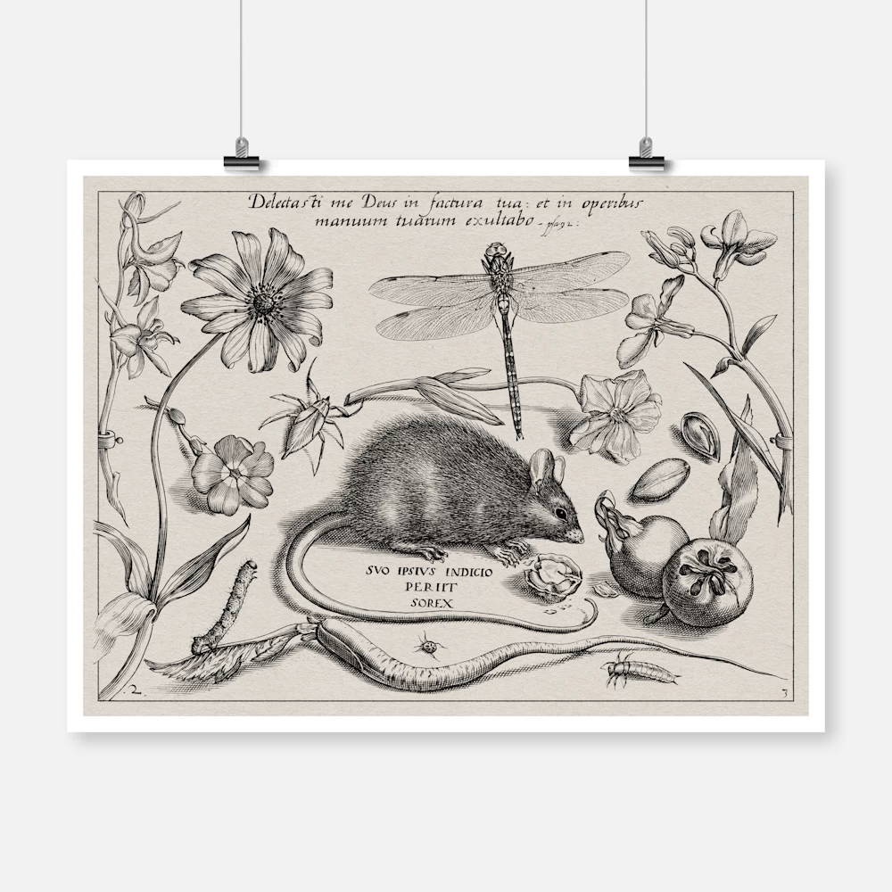Insects Plants and Fruits Around a Rat Poster