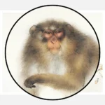 Japanese Monkey Poster