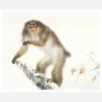 Japanese Monkey Poster