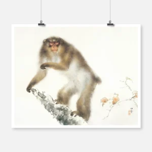 Japanese Monkey Poster