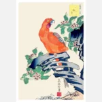 Japanese Pink Parrot Poster