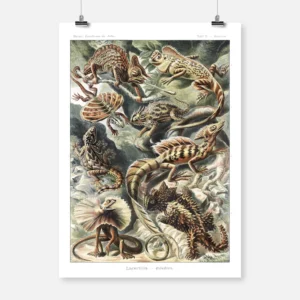 Lizard Lacertilia Poster