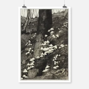 Mushrooms in a Forest Poster