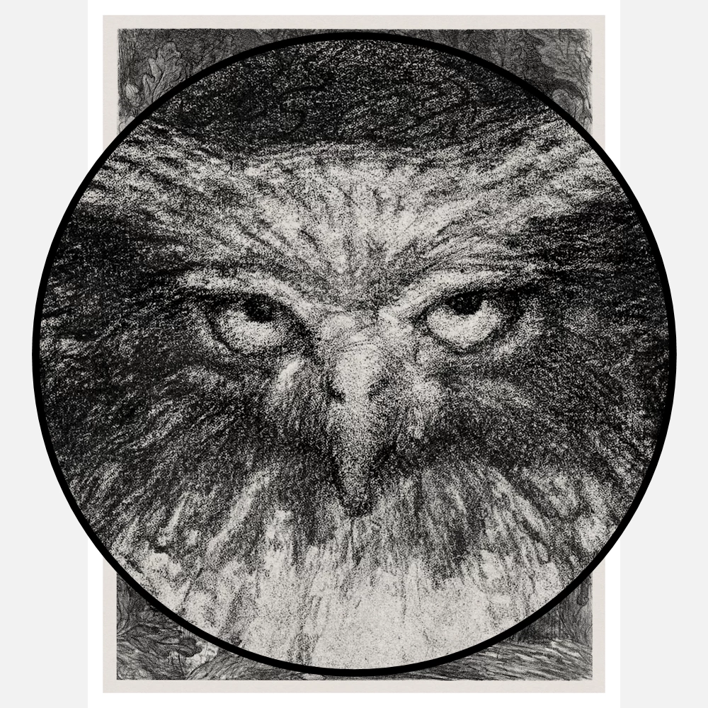 Owl with Two Owlets Sitting on a Branch Poster