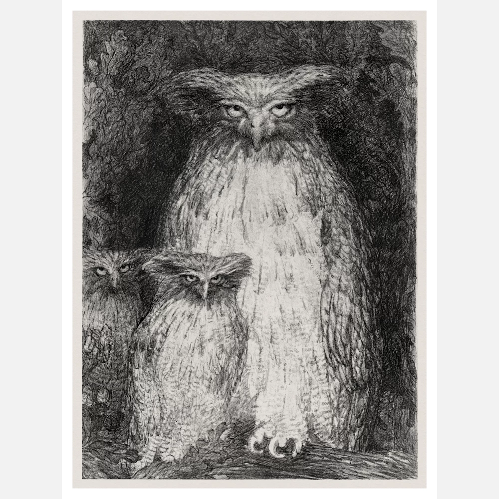 Owl with Two Owlets Sitting on a Branch Poster