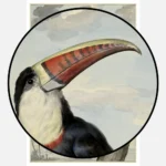 Red Billed Toucan Poster