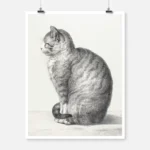 Sitting Cat Poster