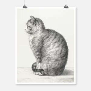 Sitting Cat Poster