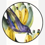 Tanager with Bananas Poster