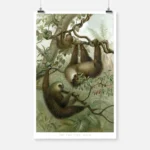 The Two Toed Sloth Poster