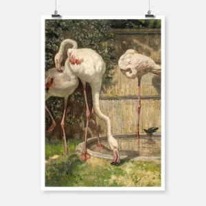 Three Flamingos Near a Basin Poster